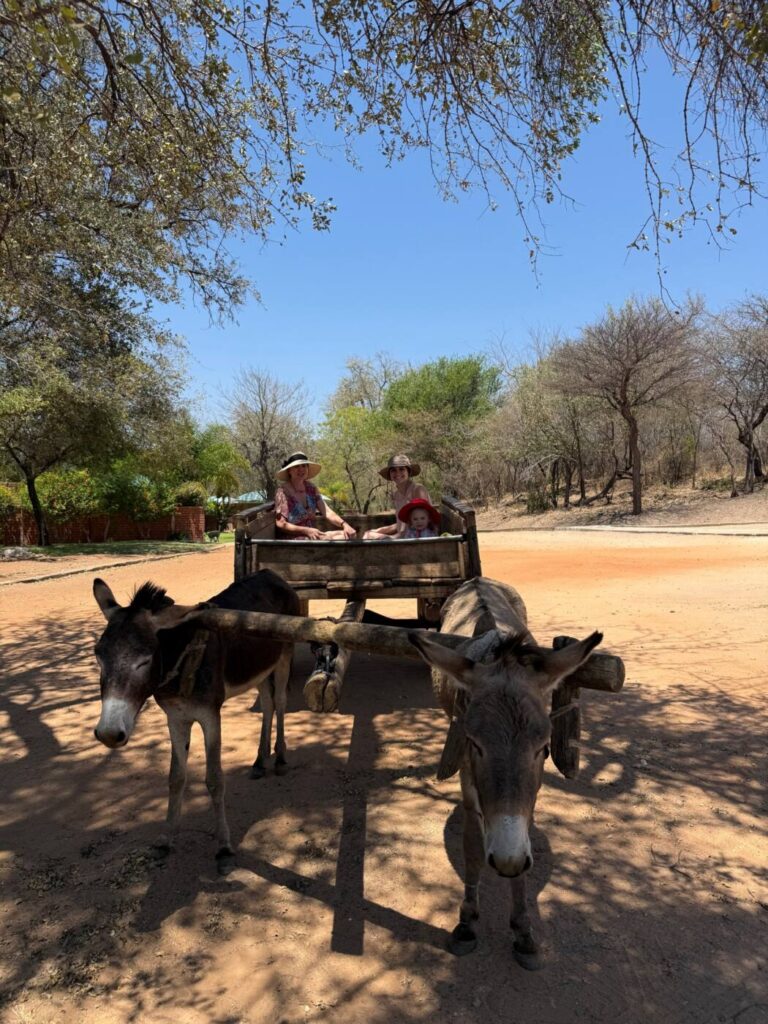 Guests on a donkey cart ride at Simanya